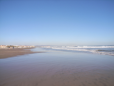 c0097932_535546.jpg