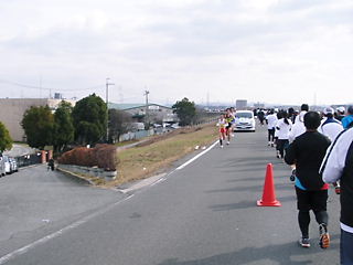 d0163834_531567.jpg
