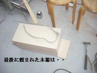 サロン工事15日目_f0031037_2227504.jpg