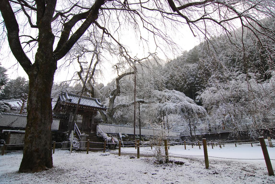 清雲寺_a0156838_23432475.jpg