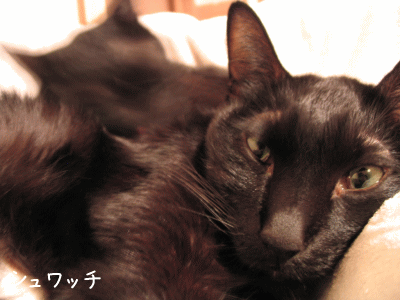 a0166338_20104569.gif