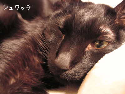 a0166338_20203752.gif