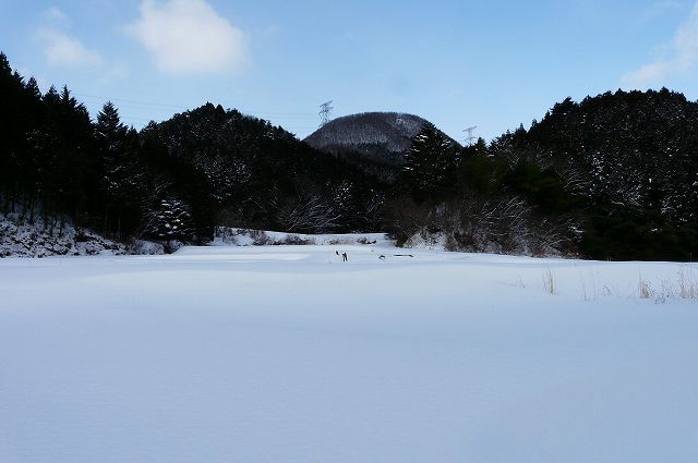 ２０１１．１．２１やっとこさっとこ、雪のししなご山_f0003138_1142484.jpg