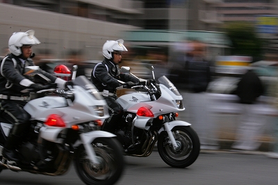 a0182241_1653186.jpg