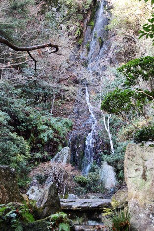 水を求めて_e0074251_16235360.jpg