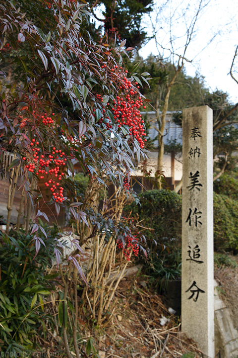 岡山県真庭市落合町 追分池_f0091955_29150.jpg