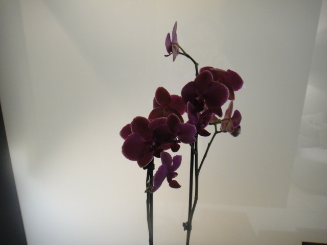 f0036857_2213183.jpg