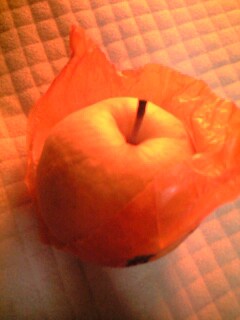 f0209058_09629.jpg