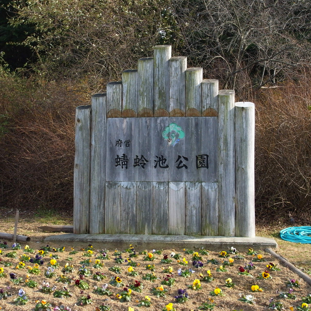 f0209159_21152015.jpg