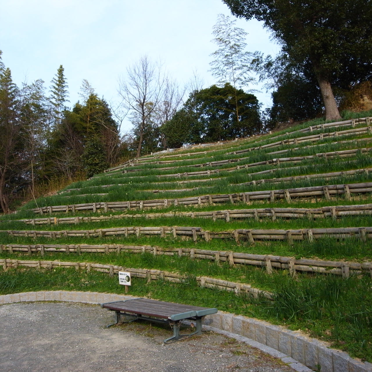 f0209159_21202383.jpg