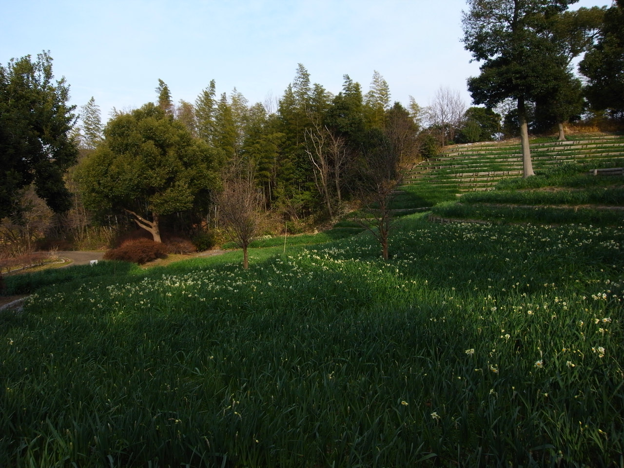 f0209159_21204920.jpg
