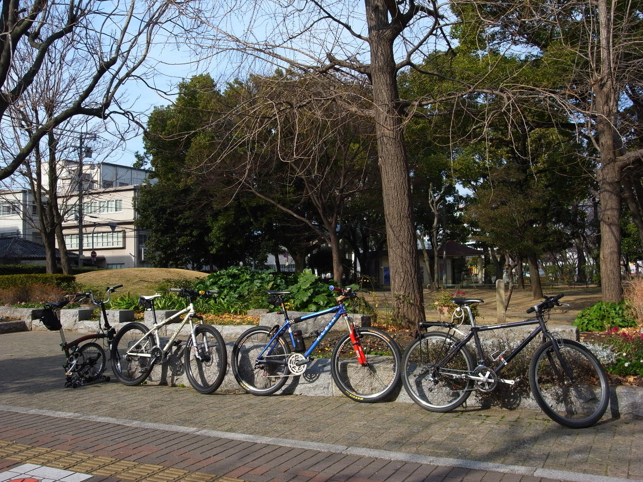 f0209159_21443.jpg