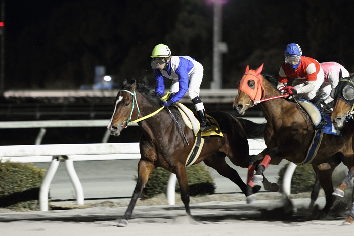 2011年1月17日（月） 高知競馬 9R C2-3 選抜馬_a0077663_14284237.jpg