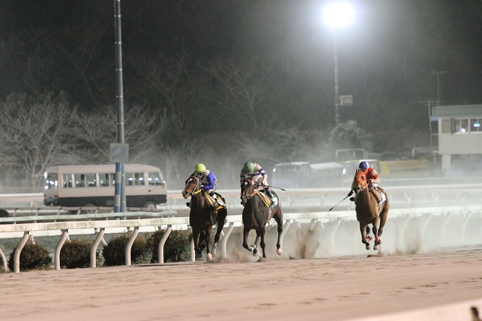 2011年1月17日（月） 高知競馬 9R C2-3 選抜馬_a0077663_1429217.jpg