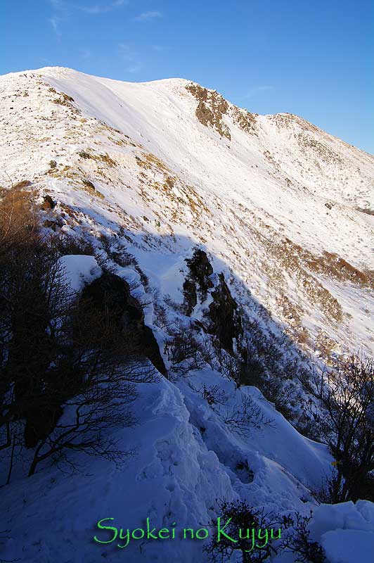 1月22日 星生坊主(勝手に命名)夕駆け _f0173067_1443216.jpg