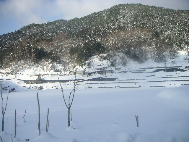 b0175571_8531947.jpg