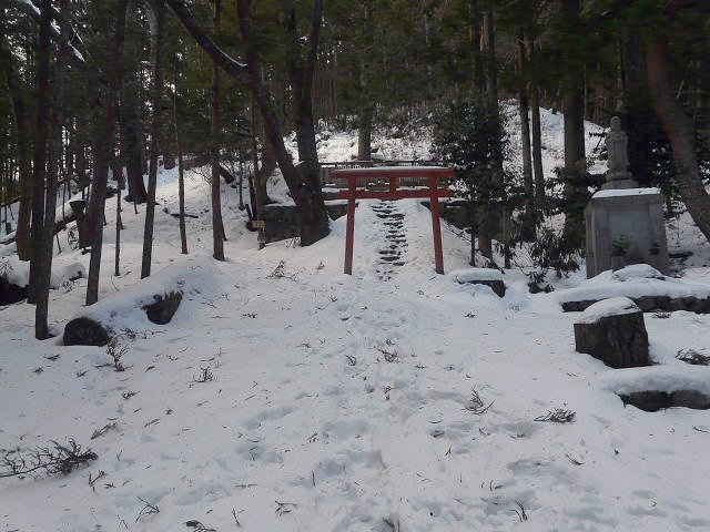 2011/01/22　高見山北尾根、、トホホ_e0050472_1630618.jpg
