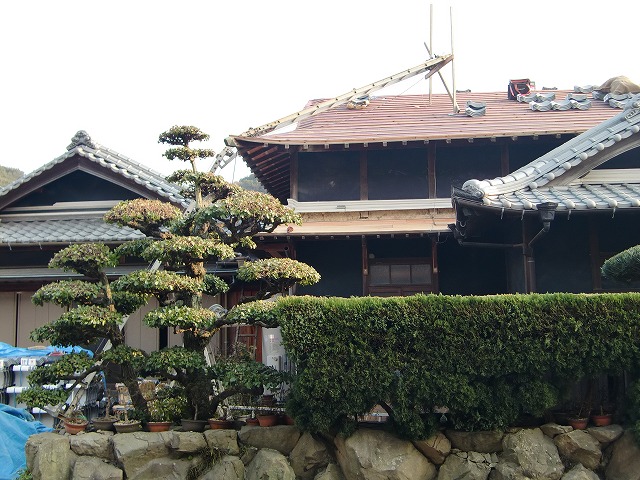 e0181373_2126648.jpg