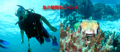 みんなでダイビング_f0144385_1074068.jpg