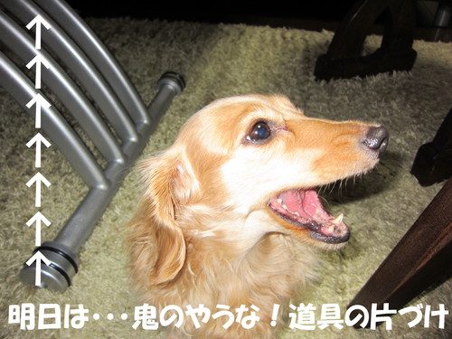 お庭造り 完成！_b0200291_21101756.jpg