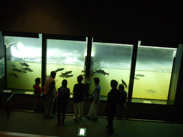 d0181492_12284816.jpg