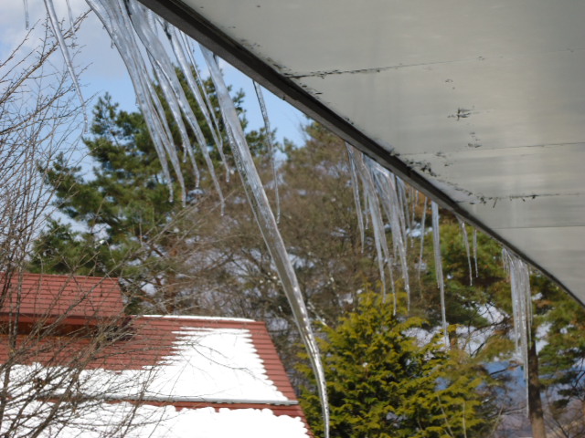 c0099395_13332339.jpg
