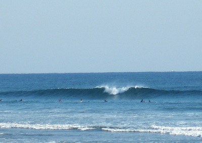 a0079098_174448100.jpg
