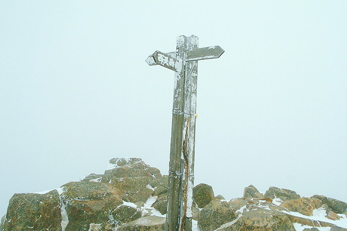 a0148606_16574578.jpg
