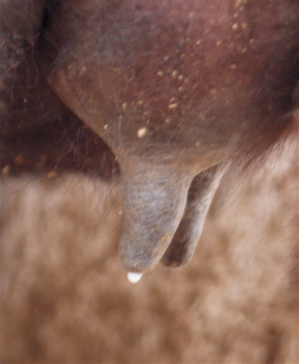 f0135908_14275958.jpg