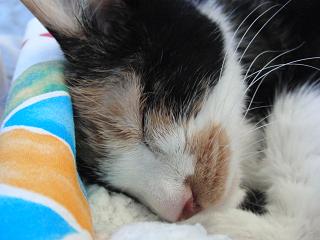 c0201113_2225334.jpg