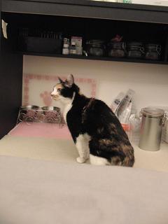 c0201113_22263670.jpg