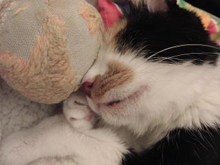 c0201113_223669.jpg