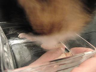 c0201113_22473437.jpg
