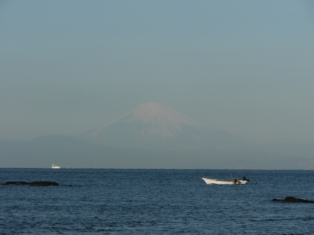 パクっと三浦♪　その①_c0039114_2150186.jpg