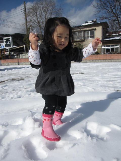 湯西川温泉 伴久ホテル～東武ワールドスクウェア_a0100919_20141493.jpg