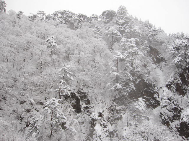 湯西川温泉 伴久ホテル～東武ワールドスクウェア_a0100919_20216100.jpg