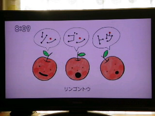 リンゴントウ ツバメ手帖 リンゴントウ ツバメ手帖