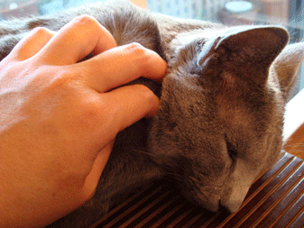 f0232522_104246100.gif