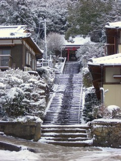 雪中行軍 宇和の彷徨-2010年越し遍路９-_e0008223_23215755.jpg