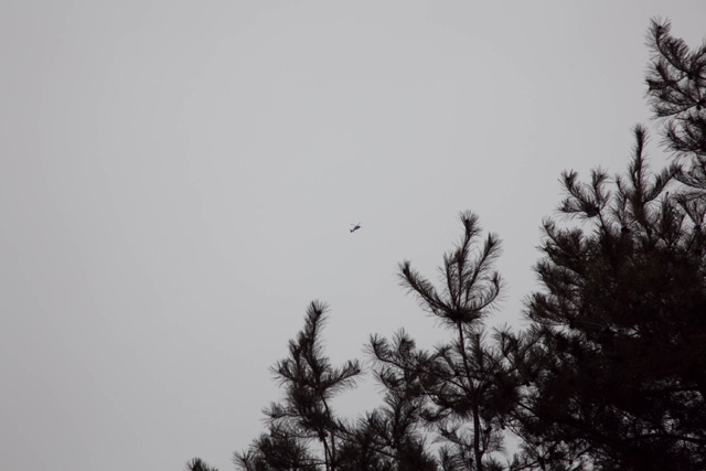 c0064025_17185543.jpg