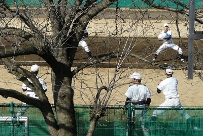 東都大学巡り・・・亜細亜大編 “あっ、東浜くん♪”_b0166128_1015398.jpg