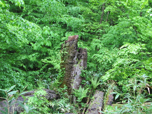 b0207642_0262821.jpg