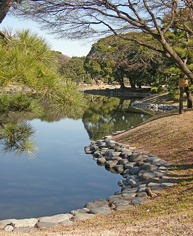 1月25日　東京散歩2011 浜離宮恩賜庭園_a0001354_21163385.jpg