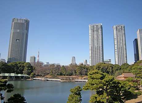 1月25日　東京散歩2011 浜離宮恩賜庭園_a0001354_21274585.jpg