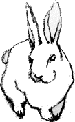 d0078060_16562244.gif