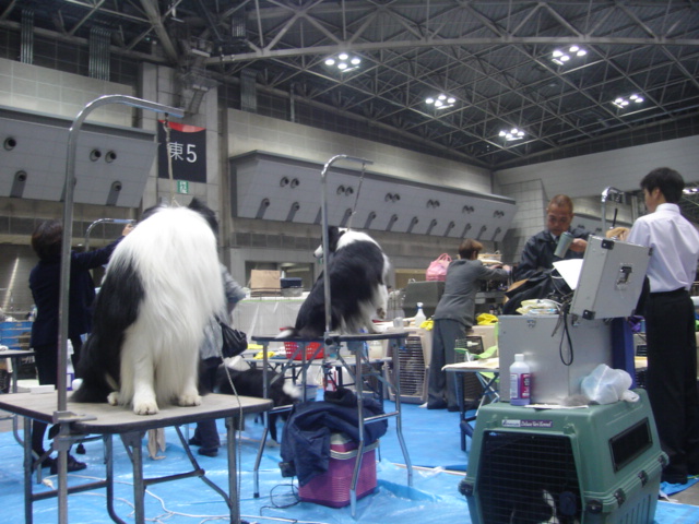 こんばんは♪moguです。_e0003660_042848.jpg