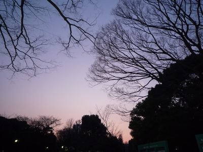 a0188464_319731.jpg