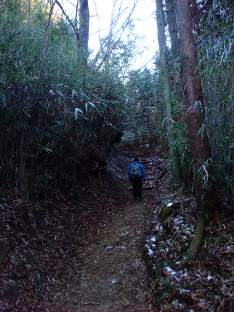 今年の初登り　明神ヶ岳　その②_a0043982_165227.jpg