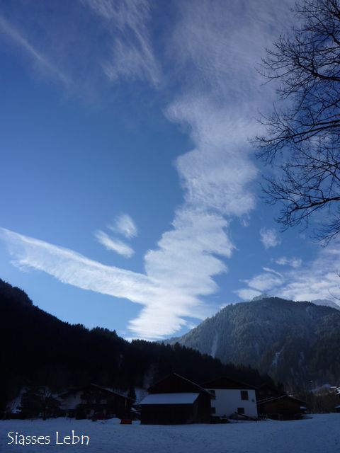 e0088895_1933910.jpg