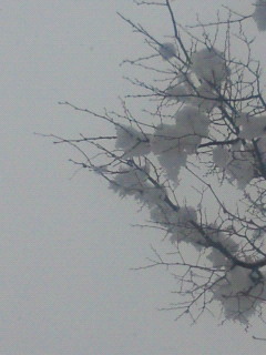 c0208099_0371569.jpg